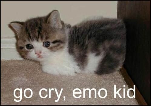GO Cry emo kid